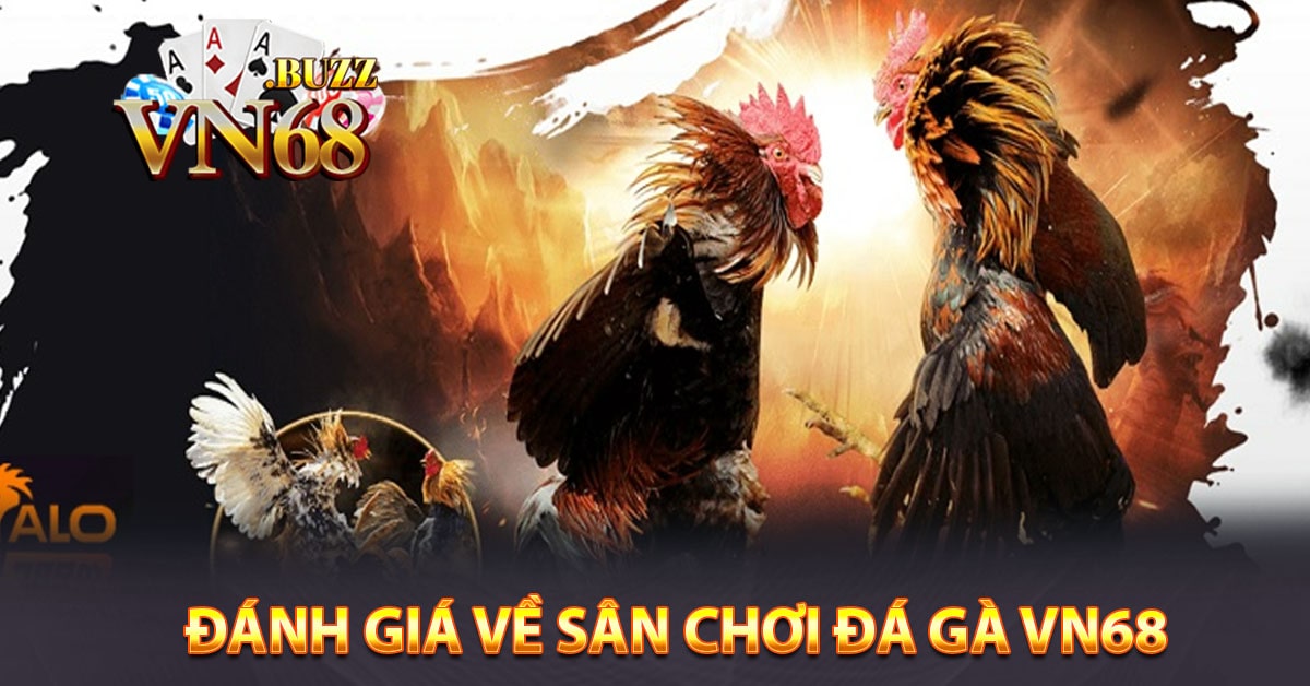 Đánh giá về sân chơi đá gà Vn68
